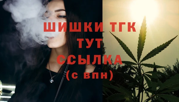 дживик Вязьма