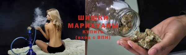 дживик Вязьма