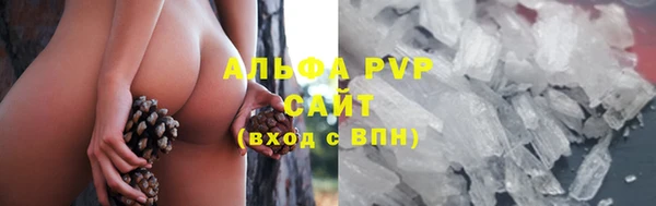 дживик Вязьма