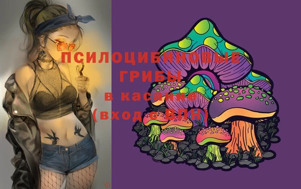 дживик Вязьма