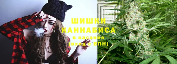 дживик Вязьма