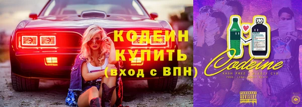 дживик Вязьма