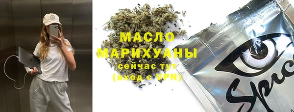 дживик Вязьма