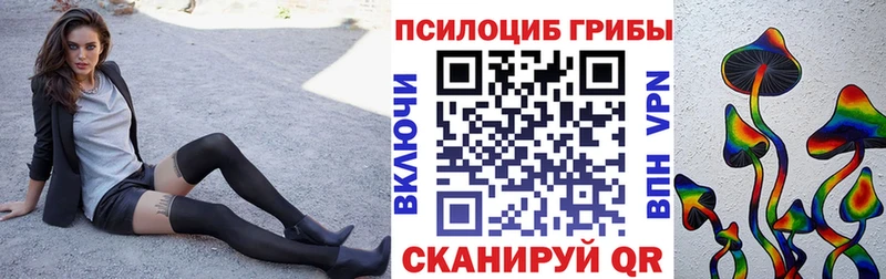 Галлюциногенные грибы GOLDEN TEACHER  Купить  Бобров 
